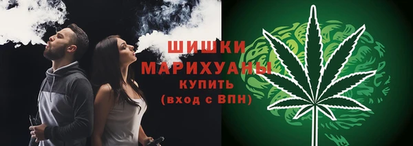 PSILOCYBIN Армянск