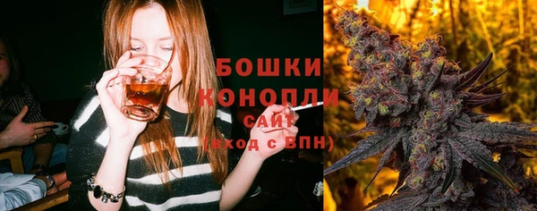 PSILOCYBIN Армянск