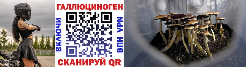 Галлюциногенные грибы MAGIC MUSHROOMS  дарнет шоп  гидра сайт  darknet как зайти  Иноземцево 