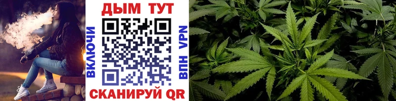 цены наркотик  ссылка на мегу вход  Бошки Шишки OG Kush  Иноземцево 